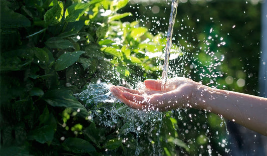 Agricultural Water Management: Challenges and Solutions